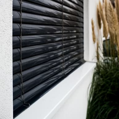 Fenster